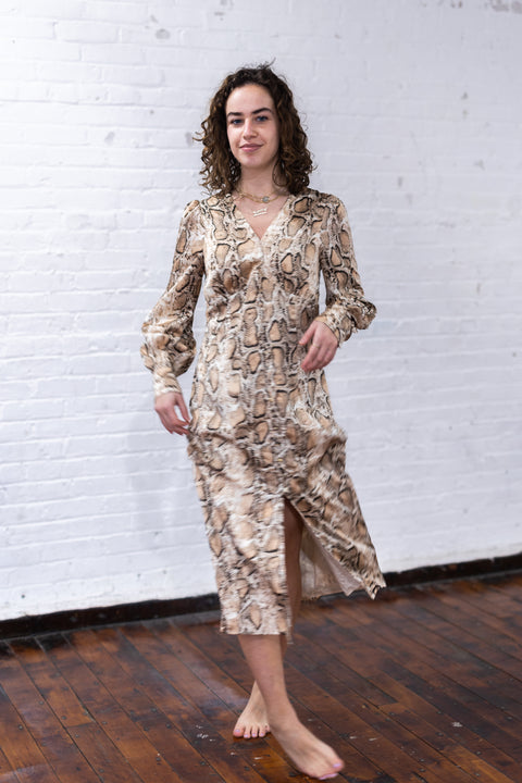 Snake Skin Silky Dress