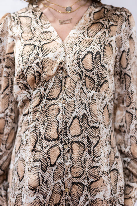Snake Skin Silky Dress