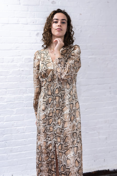 Snake Skin Silky Dress