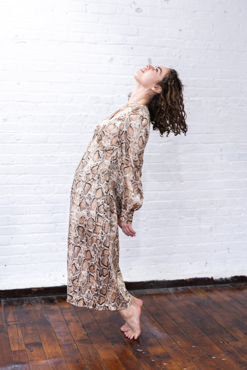 Snake Skin Silky Dress